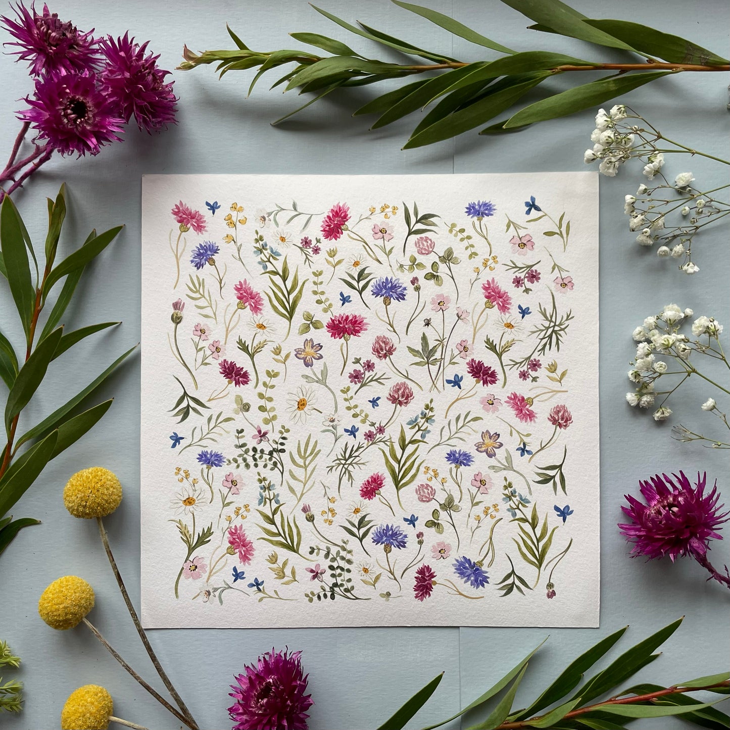 Cornflower Meadow - Botanical Art Print